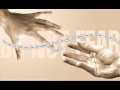 Lincoln Brewster - Reaching For You 