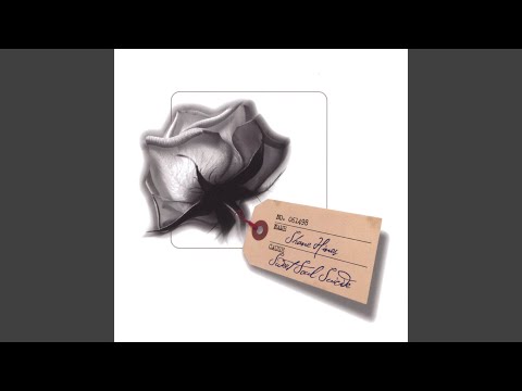 Everybody's Got Something to Hide Except for Me and My Monkey