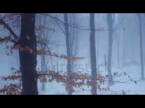 dheere dheere nazar ladne de| haule haule zeher chadne de| seducing song of #90s |