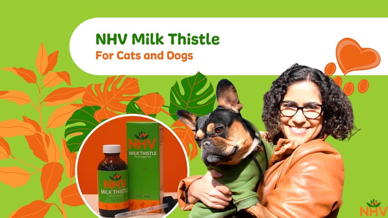 NHV Milk Thistle: Liver & Kidney Support for Cats & Dogs