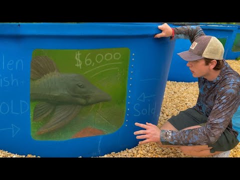 Ich habe den seltensten Alien-Fisch der Welt gekauft – du glaubst nicht, was passiert ist!