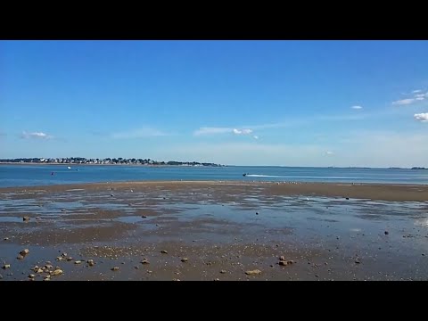 Lynn, MA. footage of summer 2020.