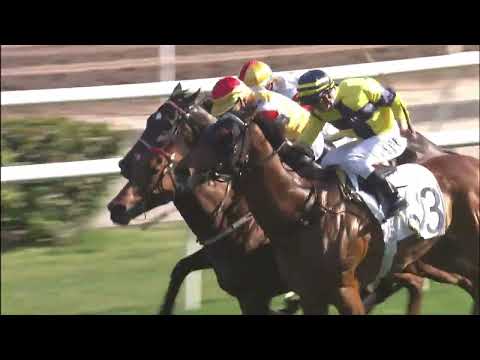 27/2/2022 (459) Golden Empire - R Maia