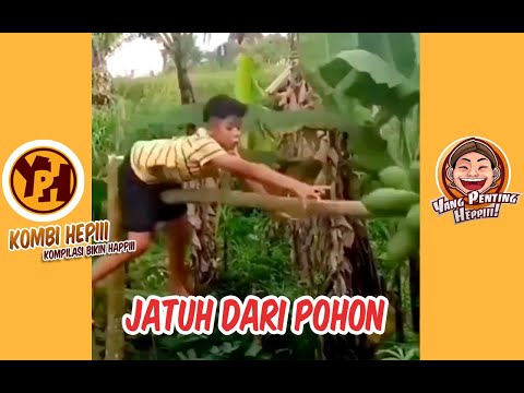 kombi-heppiii-jatuh-dari-pohon-2