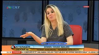 Veteriner Hekimim - Gözde Çetin Kasap & Merve Alpat - 13 Haziran 2018 - KRT TV