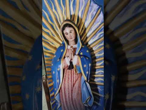 🎄🎅 Feliz Natal festa de Nossa Senhora de Guadalupe da cidade Teotônio Vilela Alagoas 0412 2025⛪🙏