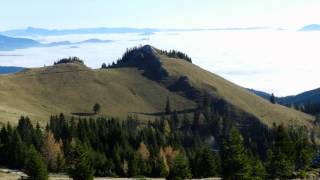 Andreas Gabalier - 12ender Hirsch