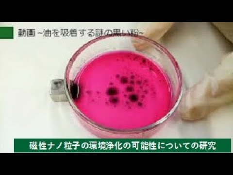 【理工学部】磁性ナノ粒子の環境浄化の可能性についての研究