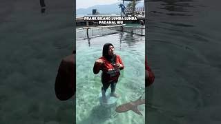 Download lagu PRANK BILANG LUMBA LUMBA PADAHAL HIU 😂 mp3 Download lagu PRANK BILANG LUMBA LUMBA PADAHAL HIU 😂 mp3