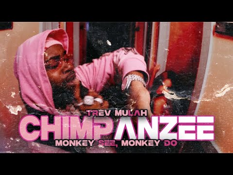 Trev Mulah - Monkey See, Monkey Do [Official Music Video]