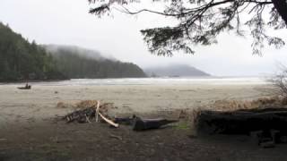 Rainy North West Coast