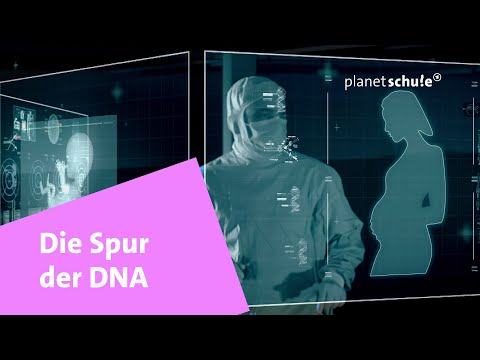 How does genetic fingerprinting work? | Planet School