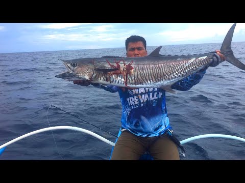 King Mackerel On Vertical Jigging