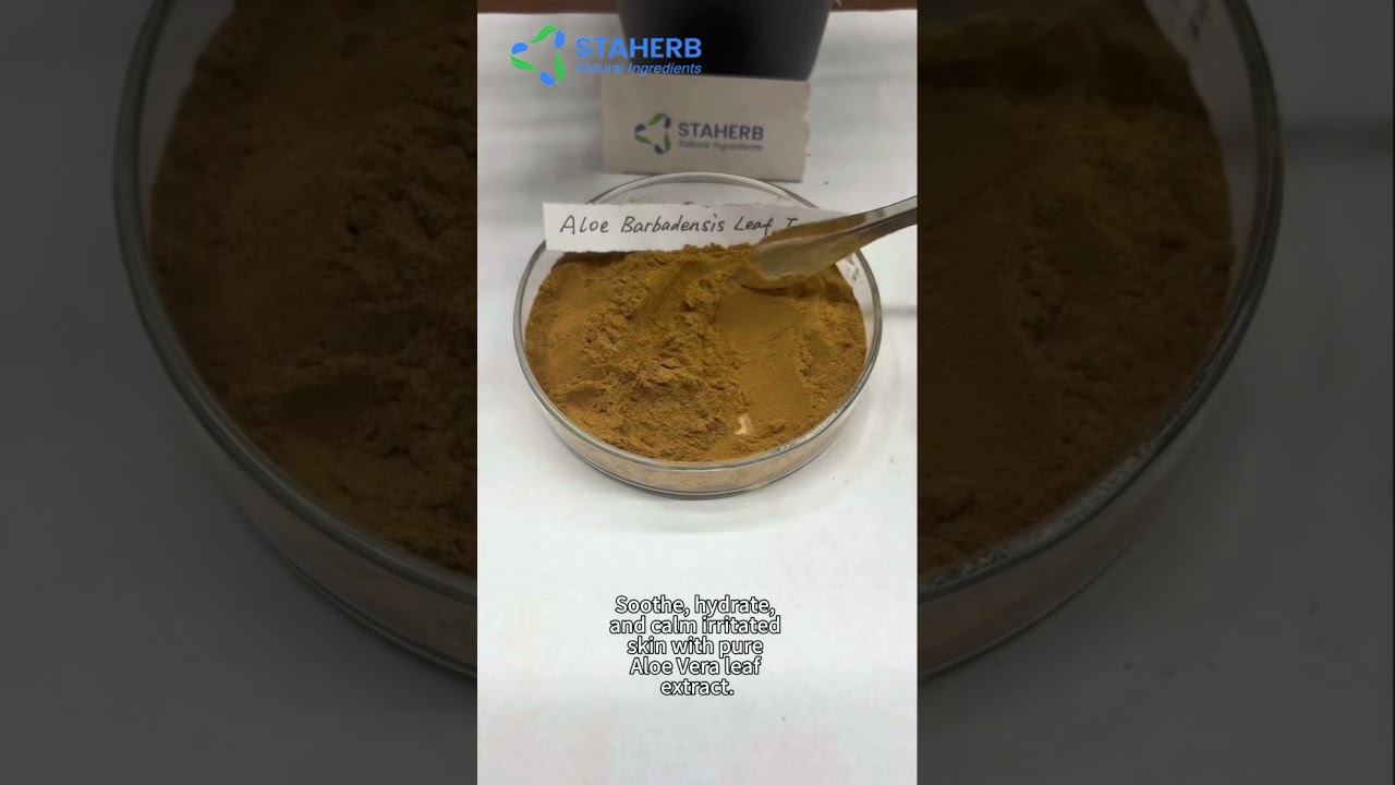 Aloe Barbadensis Leaf Extract (Changsha Staherb Natural Ingredients Co., Ltd.) #aloebarbadensisleaf