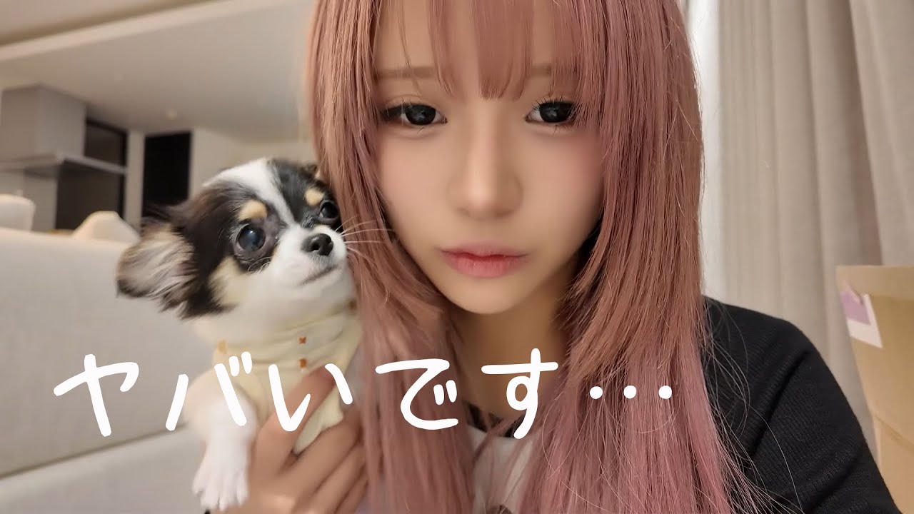 ごめんなさい。