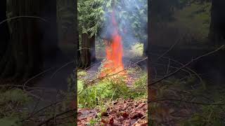 Oh! The Flames of Love! #upthehill #fire #brush #cleanup #wood #cedar #crackle