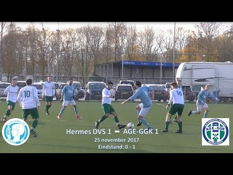 Samenvatting Hermes DVS 1 -  AGE-GGK 1