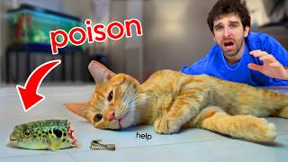 My Kitten Ate My POISONOUS PufferFish... (SAD)