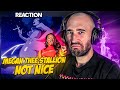 MEGAN THEE STALLION NOT NICE FIRST TIME REACTION