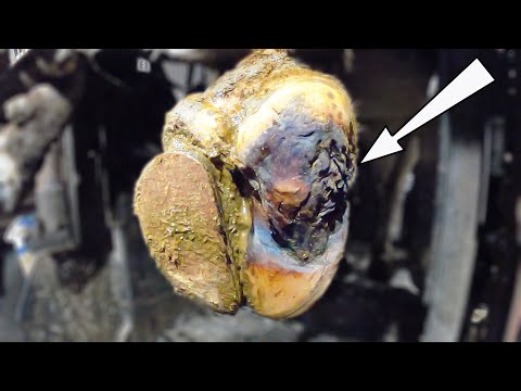 Slide 5 - Vettec Bovi Bond Block Adhesive 210cc  (video)