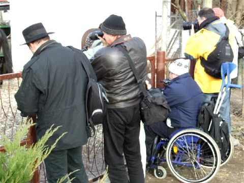 2008_1207djurdjevo0011.AVI