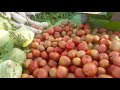 Fresh Vegetable Market Visit Local Fruits Vegetables