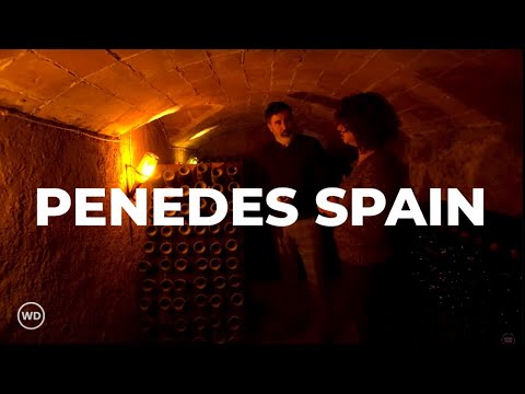 The Secrets of Penedés: The Cradle of Wine in Catalonia