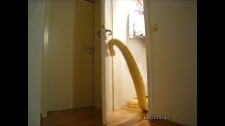 Serpent ragtime
