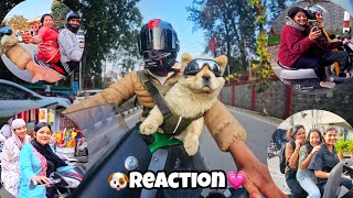 骑着我的川崎ZH2摩托车带着我的可爱狗狗🐶💗 第四部分＃狗 ＃反应 #川崎