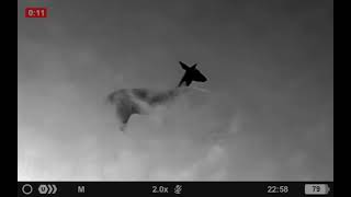 Pulsar Axion XG30 Compact Thermal Monocular