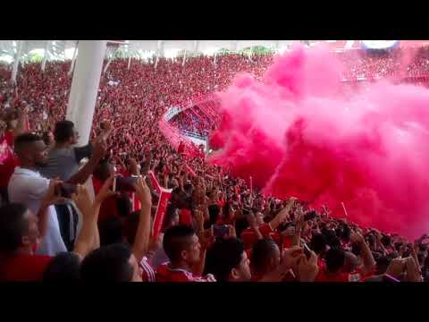"América de Cali vs Atletico Bucaramanga Fecha 20" Barra: Baron Rojo Sur • Club: América de Cáli