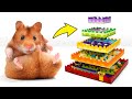 Awesome Fun For Your Pet Hamster | Colorful 5-Level LEGO Maze