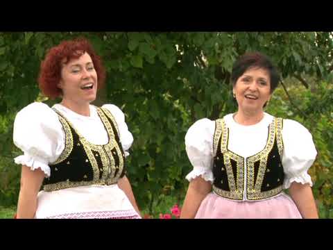 ŠOHAJKA - Cestička od Dubí