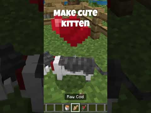 How to breed cats in minecraft
