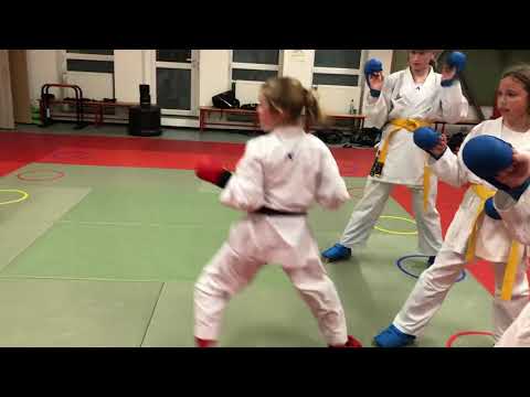 SFL Karate Kumite Training