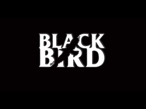 Black Bird Band - Hey Jude