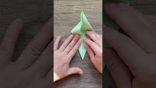 Learn how to origami turtle! 🐢