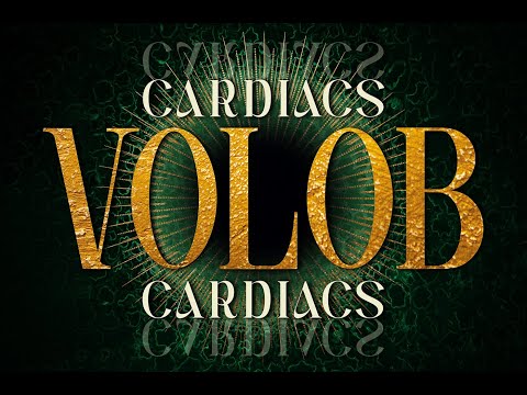 CARDIACS - VOLOB - 2025 SINGLE