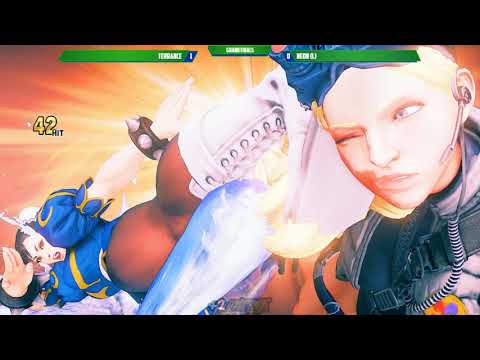 +2 on Block - 2019 Anniversary Edition - Street Fighter V - Grand Finals - Terrence vs Neon