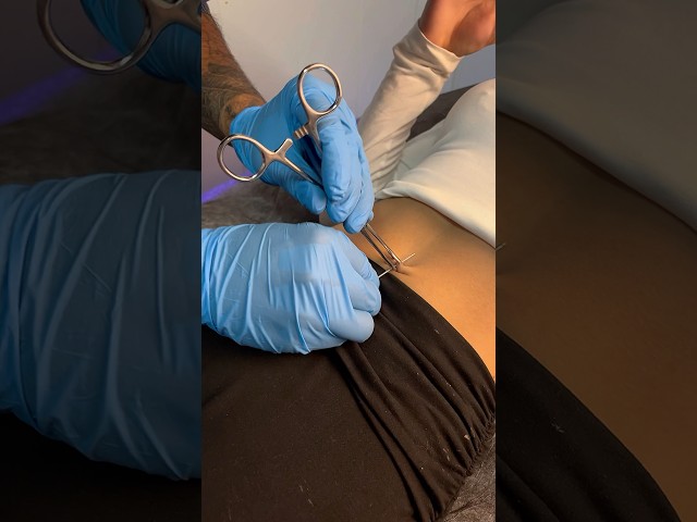 Vídeo relacionado con Turquesa Piercing para la Barriga de Cristal de Mickey Head - Perforadas y diseño Modificado de Piercings para el cartílago