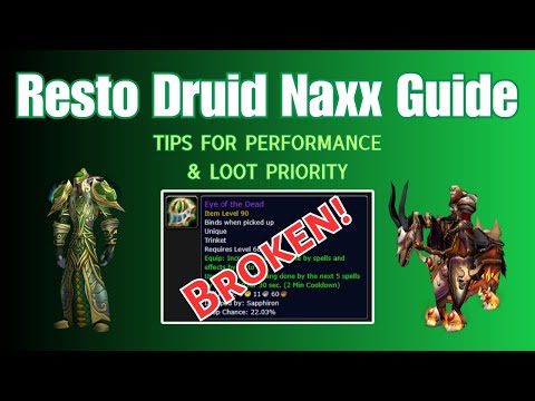 Resto Druid Phase 6 Naxxramas PvE Handbook - Tips for Performance and Loot Priority