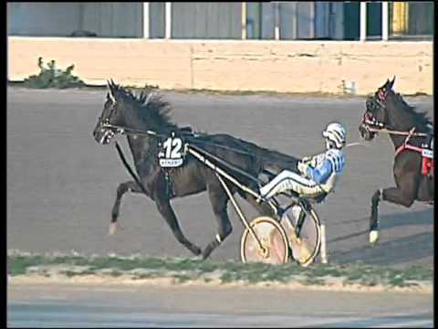 Trotto 01/12/2015 - 4° corsa