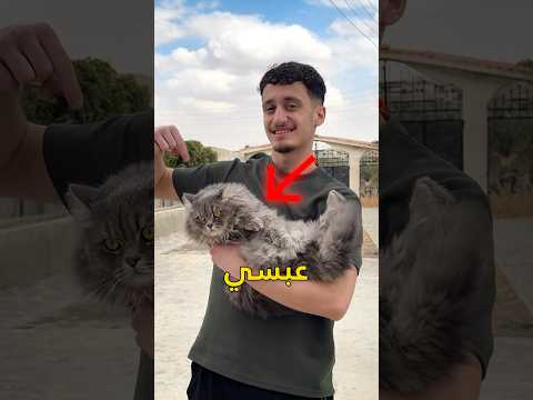 ركبت جهاز رتبع ع عبسي وتبعته 🐈‍⬛