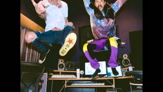 Steve Aoki Ft Machine Gun Kelly - Free The Madness