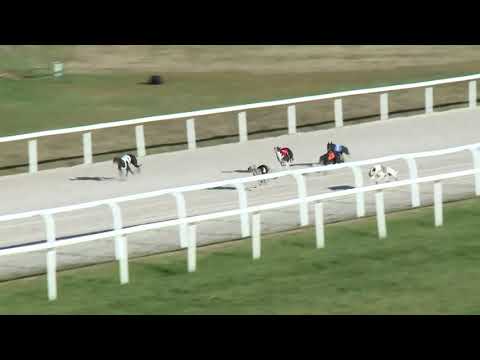 2017.10.29. 6. futam - Agár futam