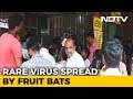 Nipah Virus Claims 10 Lives In Kerala, 2 Critical