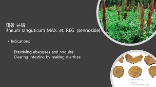 장내 세균총과 염증성 장질환