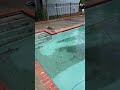 IMG 4972