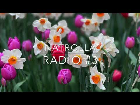 Natrolla Radio #3