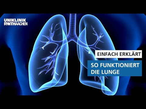 Simply explained: How the lungs work